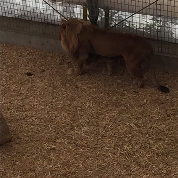 Meet your Posher, Daniel - Picture 1 of 1